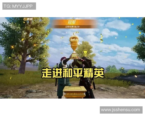 杨丽揭秘和平精英成功背后的策略与创新之路